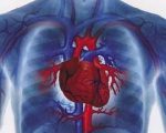 Причины и лечение асистолии желудочков сердца
