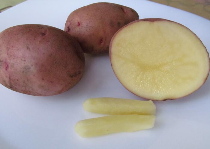При лечении в домашних условиях, самым эффективными являются свечи из картофеля
